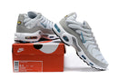 Air Max Plus TN 1 "Ice Metallic"
