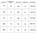 Conjunto Tracksuits chelsea